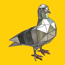 Polygon Pigeon
